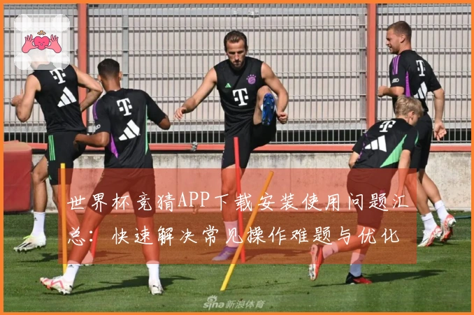 世界杯竞猜APP下载安装使用问题汇总：快速解决常见操作难题与优化体验技巧