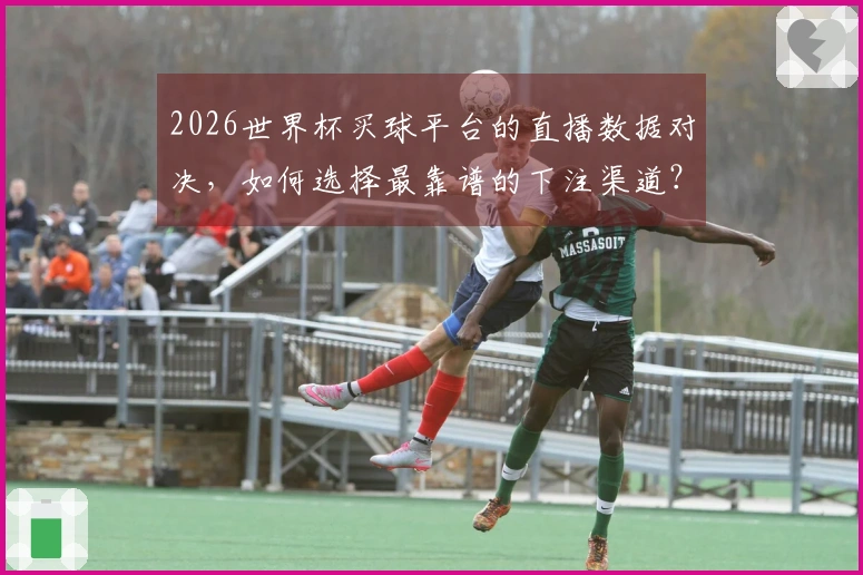 2026世界杯买球平台的直播数据对决，如何选择最靠谱的下注渠道？