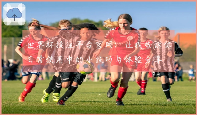 世界杯投注平台官网：让我告诉你日常使用中的小技巧与体验分享