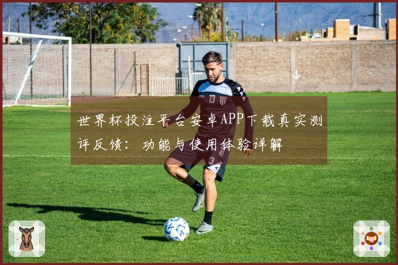 世界杯投注平台安卓APP下载真实测评反馈：功能与使用体验详解