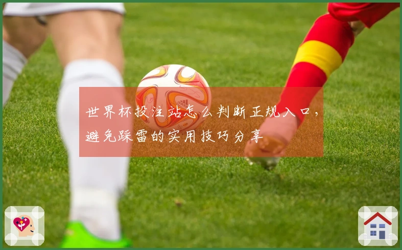 世界杯投注站怎么判断正规入口，避免踩雷的实用技巧分享