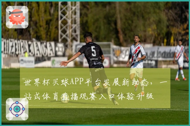 世界杯买球APP平台发展新动态，一站式体育直播观赛入口体验升级