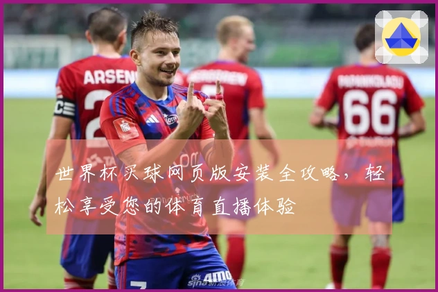 世界杯买球网页版安装全攻略，轻松享受您的体育直播体验