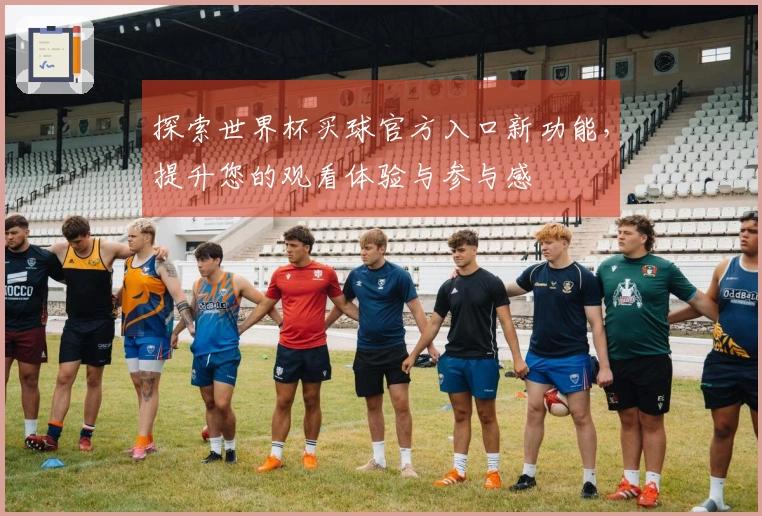 探索世界杯买球官方入口新功能,提升您的观看体验与参与感