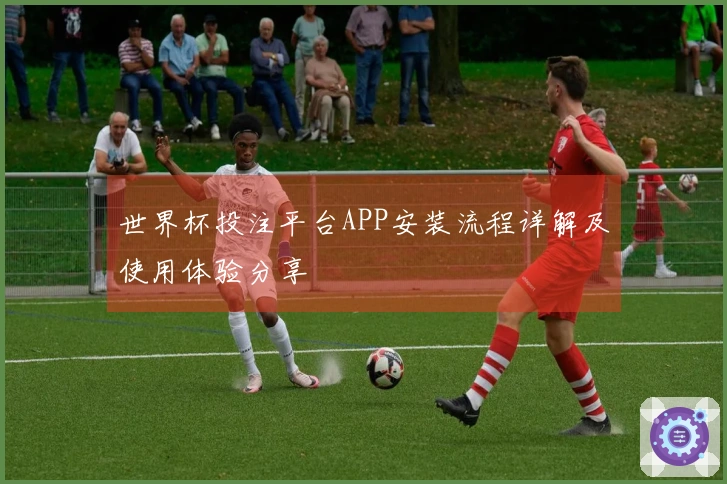 世界杯投注平台APP安装流程详解及使用体验分享
