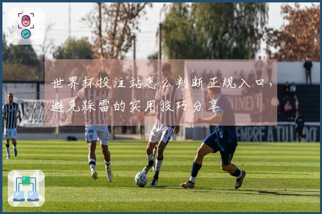 世界杯投注站怎么判断正规入口，避免踩雷的实用技巧分享