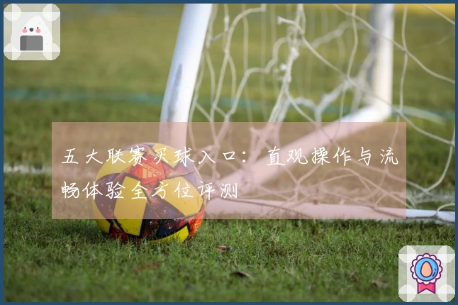 五大联赛买球入口：直观操作与流畅体验全方位评测
