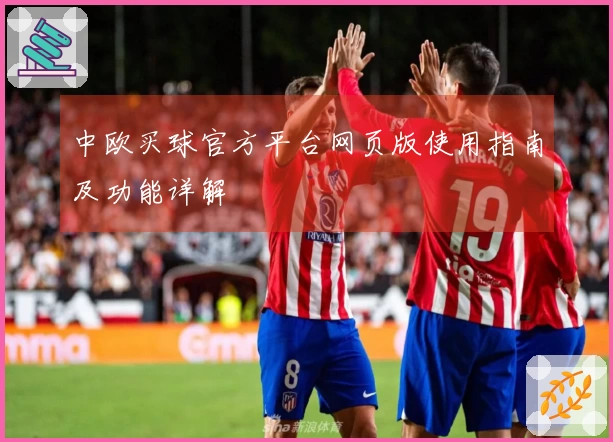 中欧买球官方平台网页版使用指南及功能详解