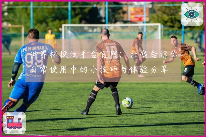 世界杯投注平台官网：让我告诉你日常使用中的小技巧与体验分享
