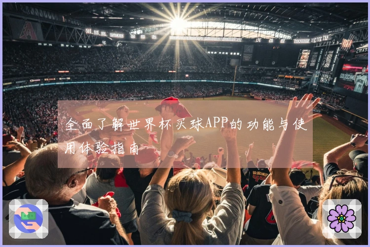 全面了解世界杯买球APP的功能与使用体验指南