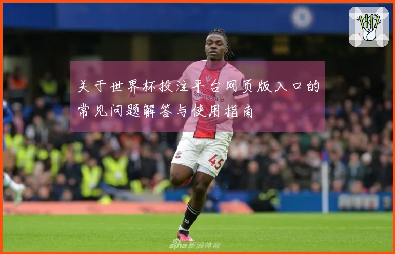 关于世界杯投注平台网页版入口的常见问题解答与使用指南