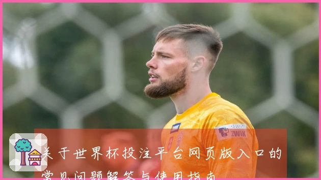 关于世界杯投注平台网页版入口的常见问题解答与使用指南