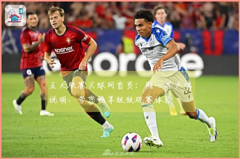 五大联赛买球网首页：贴心客户端说明，带您畅享极致观赛体验