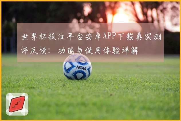 世界杯投注平台安卓APP下载真实测评反馈：功能与使用体验详解