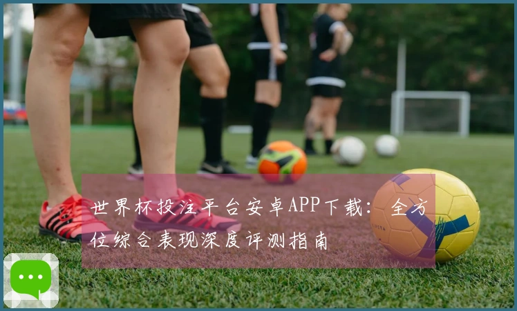世界杯投注平台安卓APP下载：全方位综合表现深度评测指南