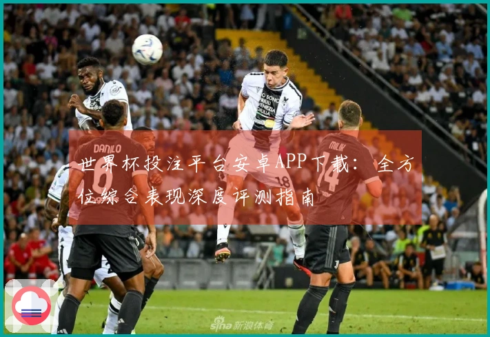 世界杯投注平台安卓APP下载：全方位综合表现深度评测指南